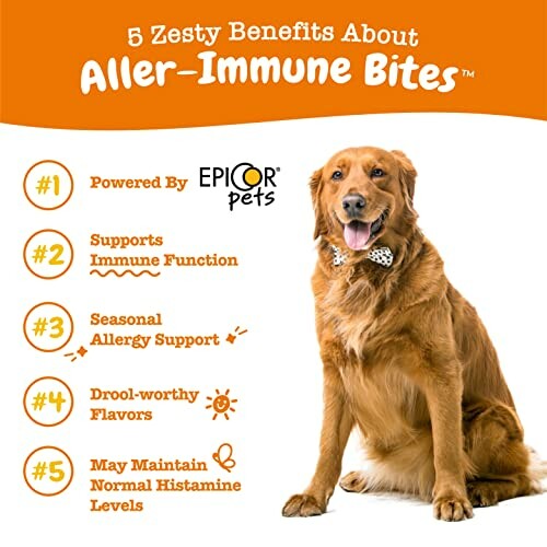 Golden retriever next to list of benefits for Aller-Immune Bites.