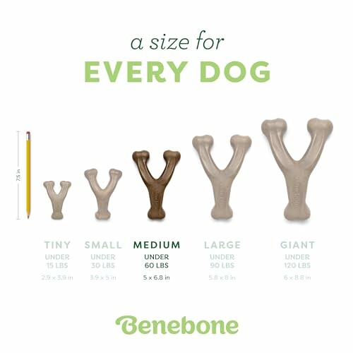Benebone chew toys in various sizes for different dog weights.