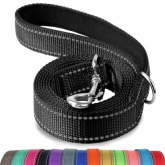 Joytale Double-Sided Reflective Dog Leash