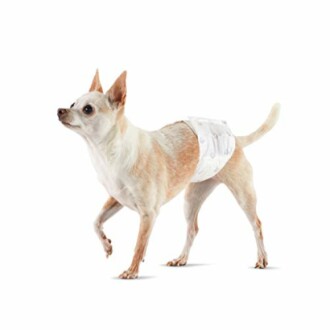 Amazon Basics Male Dog Wrap