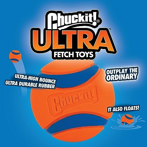 Chuckit Ultra fetch toy with high bounce and float features.