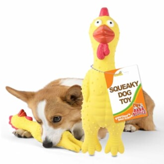 Squeaky Dog Toys