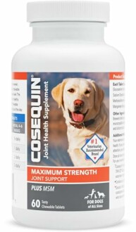 Cosequin Maximum Strength Joint Health Supplement