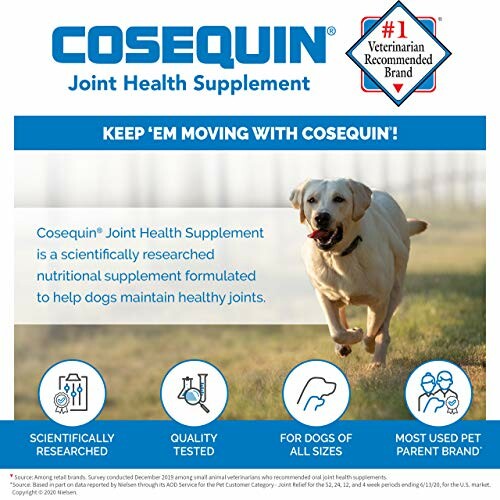 Cosequin joint health supplement advertisement with a dog running