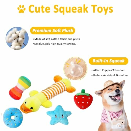Assorted cute squeak toys for dogs including plush duck, star, strawberry, and donuts.