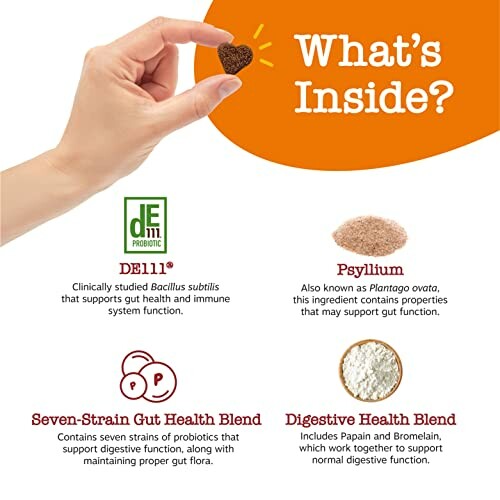 Hand holding heart-shaped item with digestive health ingredient details: DE111 probiotic, psyllium, seven-strain gut health blend, digestive health blend.