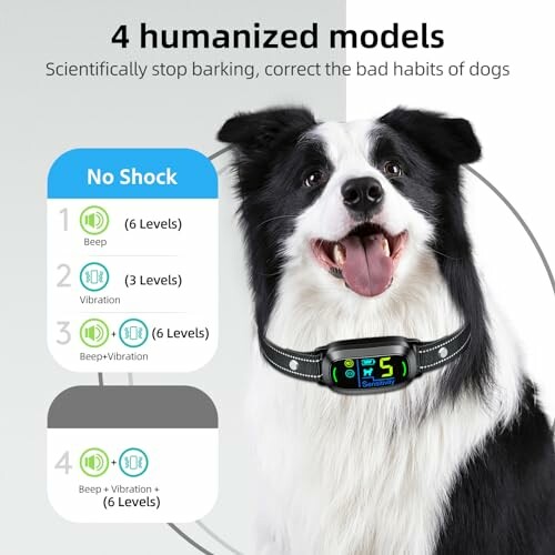 Dog wearing a no-shock bark collar with 4 training modes displayed.