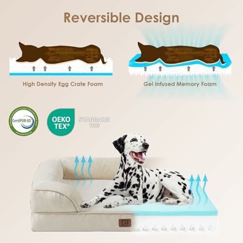 Dog on a reversible foam pet bed with certifications shown.