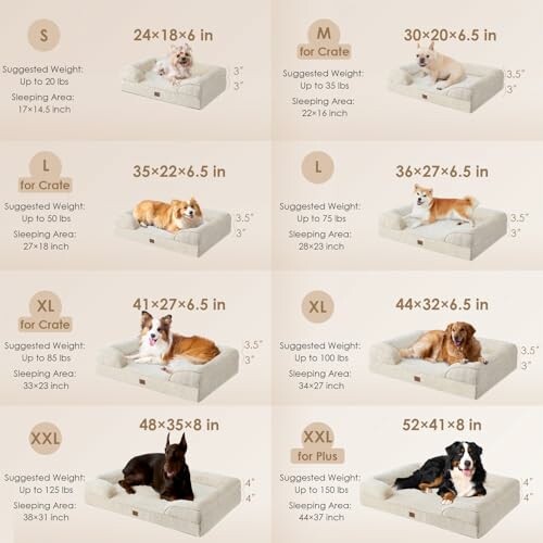 Dog bed size guide with different breeds on various bed sizes from S to XXL.