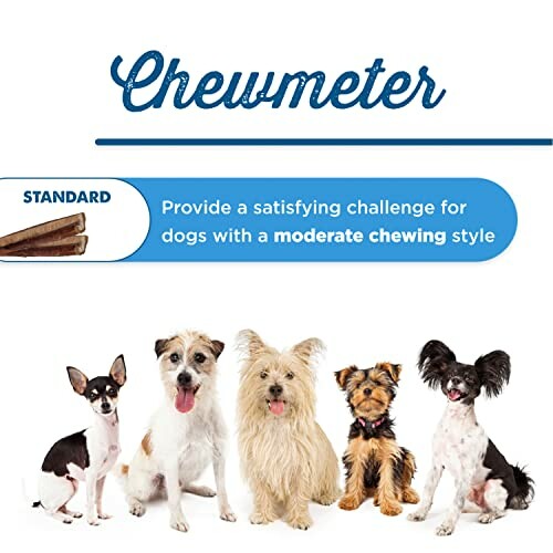 Various small dogs sitting with text about dog chew products.