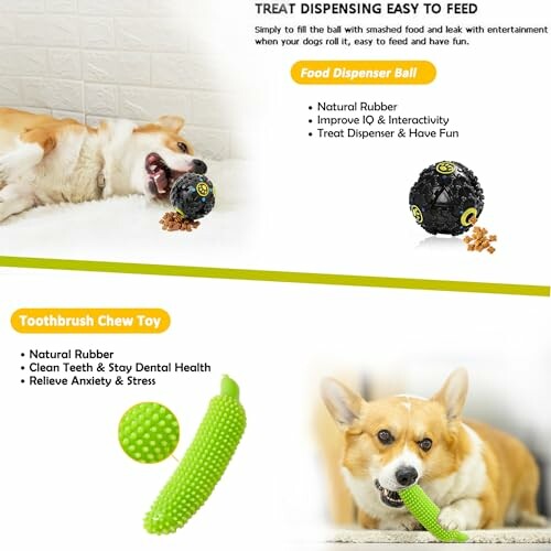 Dog with food dispenser ball and toothbrush chew toy.