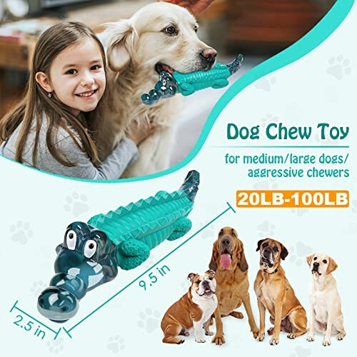 Girl with dog holding a chew toy for medium to large aggressive chewers.