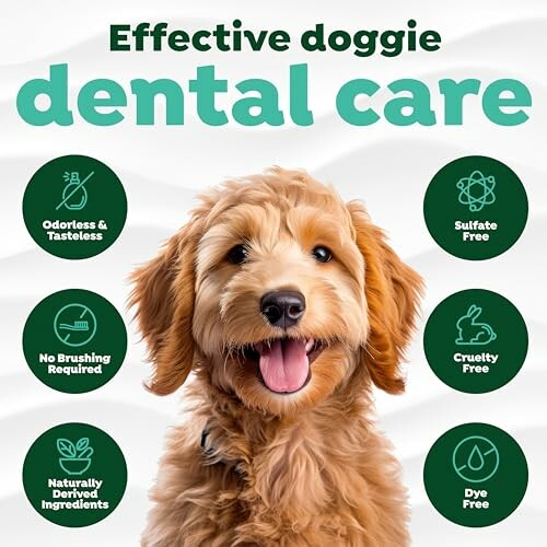 Happy dog with dental care benefits icons.