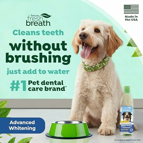 Dog with dental water additive for teeth cleaning.