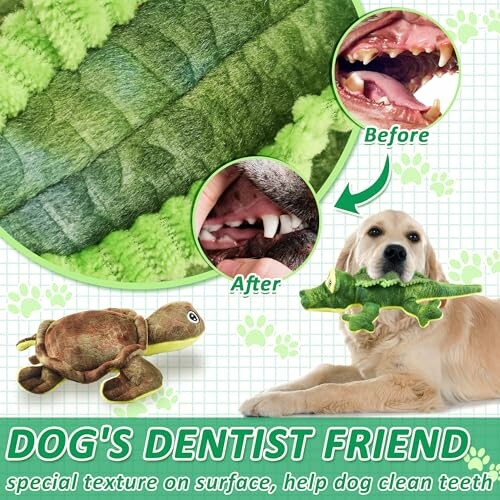 Dog holding toy for dental cleaning with before and after teeth images.