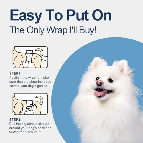 Instructions for putting on a dog diaper with a smiling white dog.