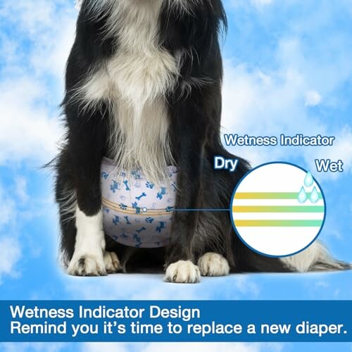 Dog wearing diaper with wetness indicator showing dry to wet levels.