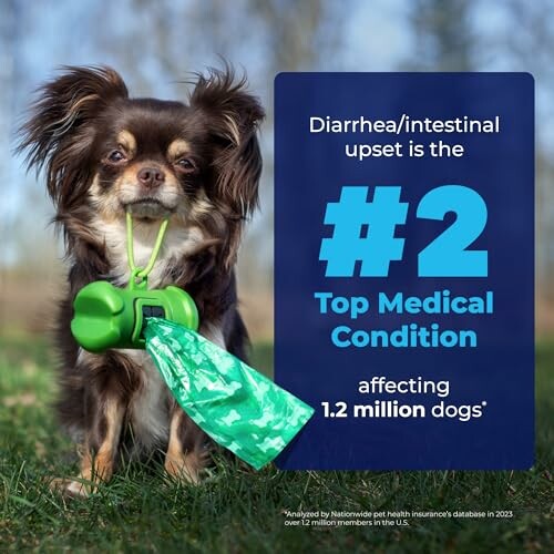 Small dog with waste bag holder and text on medical condition statistic.