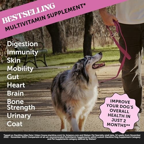 Dog with benefits of bestselling multivitamin supplement listed.
