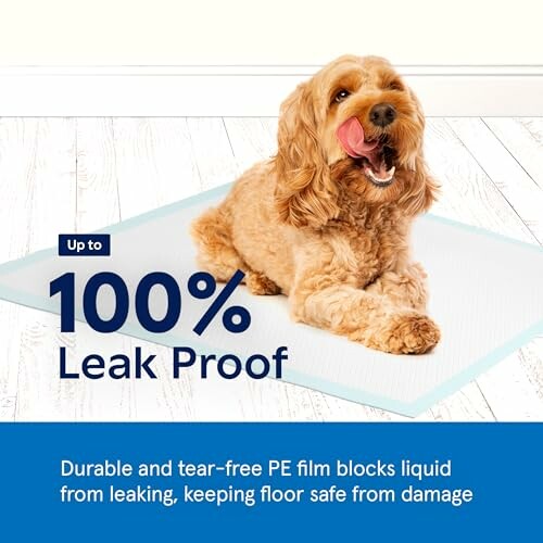 Dog sitting on a leak-proof pad with text advertising 100% leak proof protection.