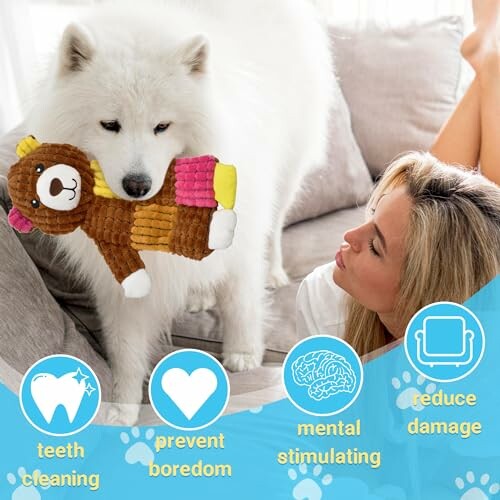 Dog with plush toy while person watches on a couch.