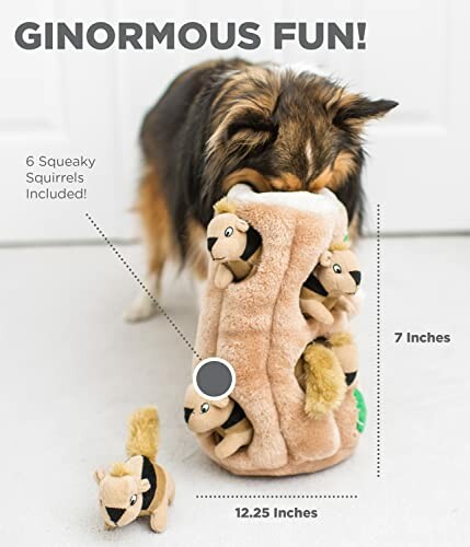 Dog playing with a plush toy containing squeaky squirrels.