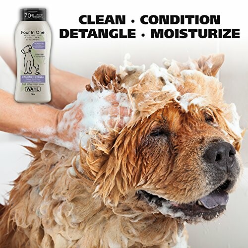 Dog being shampooed with Wahl pet shampoo.