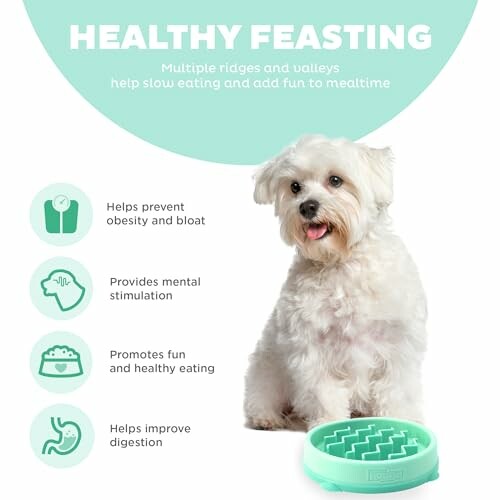 A small white dog next to a green slow feeder bowl with benefits listed.