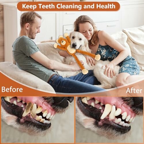Couple with dog showing teeth cleaning before and after.
