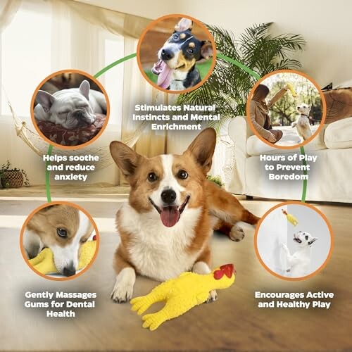 Happy dog with toy surrounded by benefits like mental enrichment, anxiety reduction, and dental health.