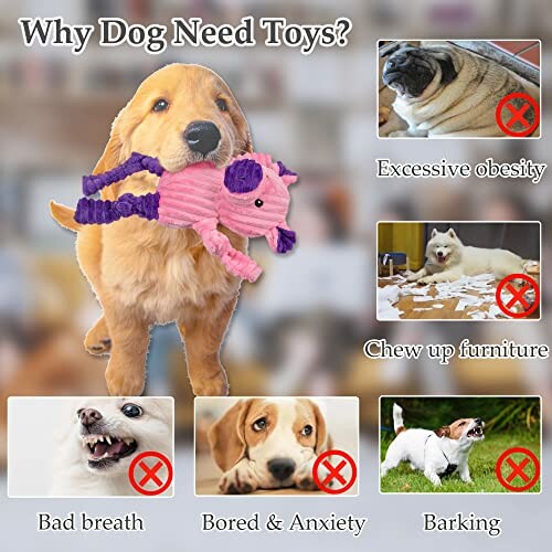Dog holding toy with reasons for needing toys: obesity, chewing, bad breath, anxiety, barking.