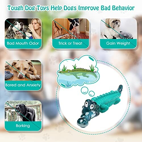 Tough dog toys and their benefits for improving bad behavior.
