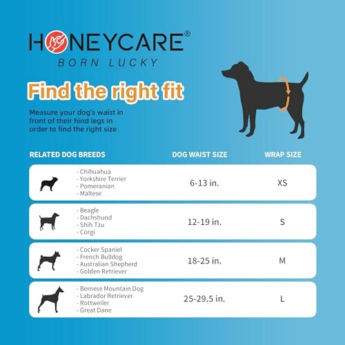 Dog waist size guide for different breeds.