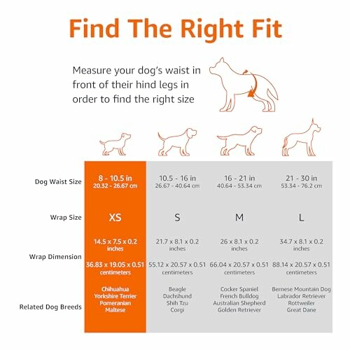 Dog waist size guide for finding the right fit.