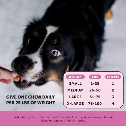 Dog eating chew with weight chart for dosage.