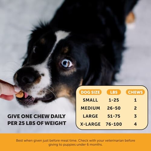 Dog taking a chew with weight guide for dosage.