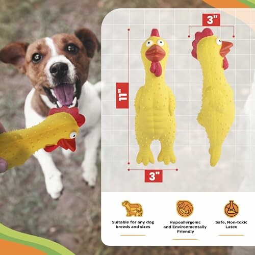 Dog playing with a yellow rubber chicken toy, product details shown.