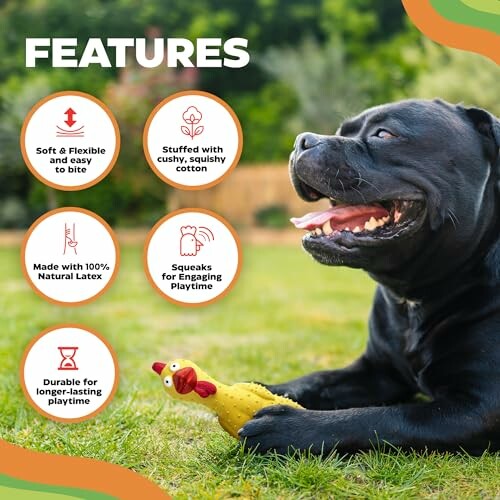Black dog lying on grass with a yellow toy, highlighting features like softness, natural latex, and durability.