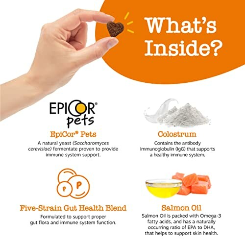 Epicor Pets supplement ingredients: EpiCor yeast, colostrum, five-strain gut health blend, salmon oil.