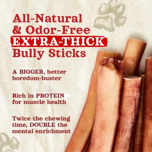 All-natural extra-thick bully sticks, odor-free and rich in protein.