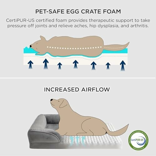 Illustration of a dog on pet-safe egg crate foam showing therapeutic support and increased airflow.