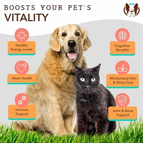 Dog and cat with icons highlighting health benefits like energy, cognition, heart health, skin, and joint support.