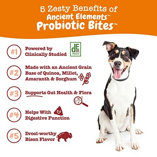 Dog with list of 5 benefits of probiotic bites for gut health.