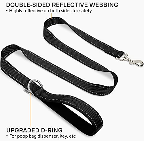 Reflective dog leash with double-sided webbing and upgraded D-ring.