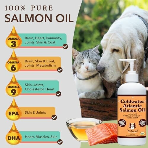 Salmon oil benefits for pets with bottle and animals.