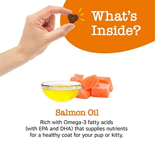 Hand holding treat with salmon oil and text about Omega-3 benefits for pets.