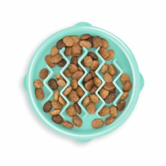 Outward Hound Fun Feeder Slo Bowl