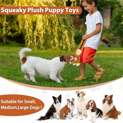 Child playing with dog using squeaky plush toy, suitable for various dog sizes.