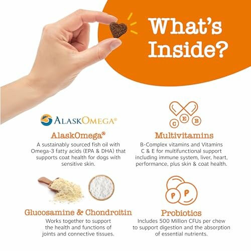 Hand holding supplement with details on Omega-3, multivitamins, glucosamine, and probiotics.