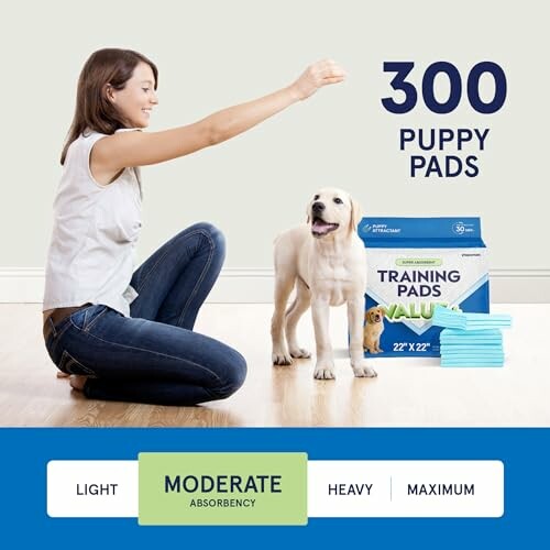 Woman training a puppy with training pads, showing 300 puppy pads package.